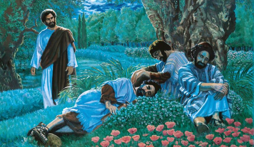 While Men Slept