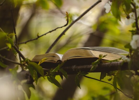 KNOWING THE KNOWLEDGE OF GOD